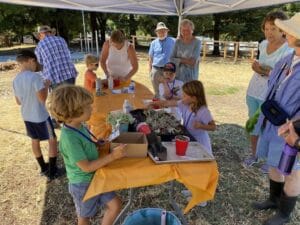 Garden-Grandparents-Week-13